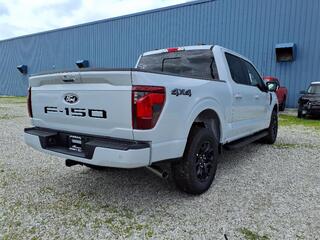2025 Ford F-150 for sale in Dundee MI