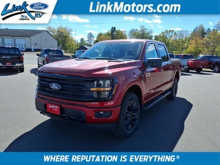 2025 Ford F-150 for sale in Minong WI
