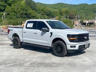 2026 Ford F-150 for sale in Waynesville NC