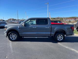 2024 Ford F-150 for sale in Dandridge TN