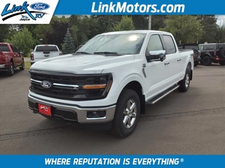 2024 Ford F-150 for sale in Minong WI