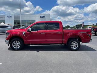 2024 Ford F-150 for sale in Dandridge TN