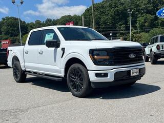 2024 Ford F-150 for sale in Waynesville NC