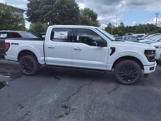 2024 Ford F-150 for sale in Summerville SC