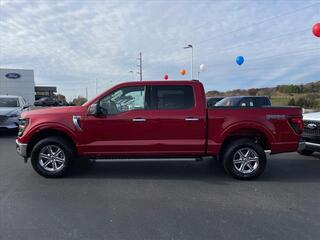 2024 Ford F-150 for sale in Dandridge TN