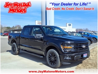 2025 Ford F-150 for sale in Hutchinson MN