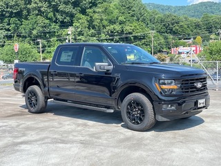 2025 Ford F-150 for sale in Waynesville NC
