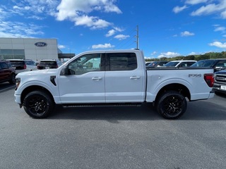 2025 Ford F-150 for sale in Dandridge TN