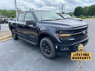 2024 Ford F-150 for sale in Lenoir NC