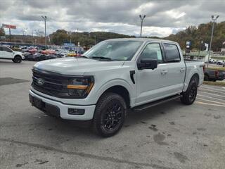 2024 Ford F-150 for sale in Princeton WV