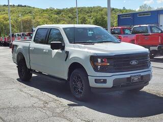 2024 Ford F-150 for sale in Honesdale PA