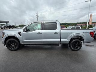 2026 Ford F-150 for sale in Dandridge TN