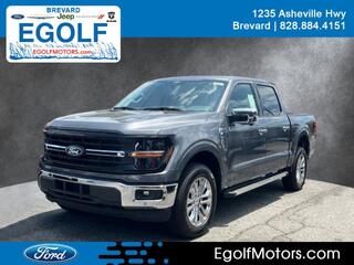 2024 Ford F-150 for sale in Brevard NC