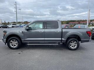 2024 Ford F-150 for sale in Dandridge TN