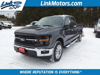 2024 Ford F-150 for sale in Minong WI