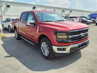 2024 Ford F-150 for sale in Bowling Green KY