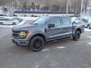 2024 Ford F-150 for sale in Danville WV