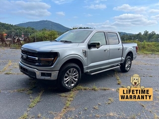 2024 Ford F-150 for sale in Lenoir NC