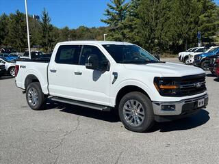 2024 Ford F-150 for sale in Canton NC