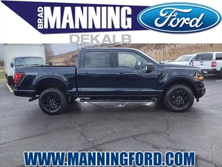 2024 Ford F-150 for sale in Des Plaines IL