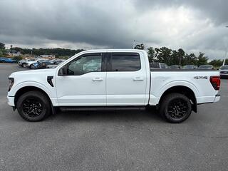 2025 Ford F-150 for sale in Dandridge TN
