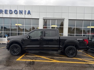 2024 Ford F-150 for sale in Fredonia NY
