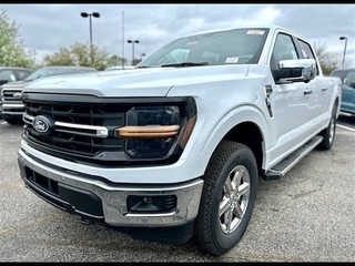 2024 Ford F-150 for sale in Louisville KY