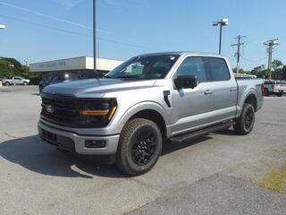 2024 Ford F-150 for sale in Martinsburg WV