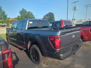 2024 Ford F-150 for sale in Brillion WI