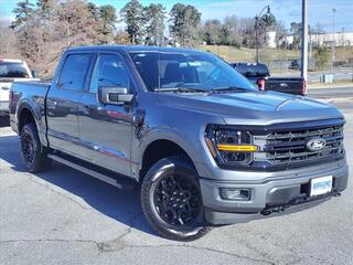 2024 Ford F-150 for sale in Salem VA