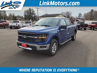 2024 Ford F-150 for sale in Minong WI