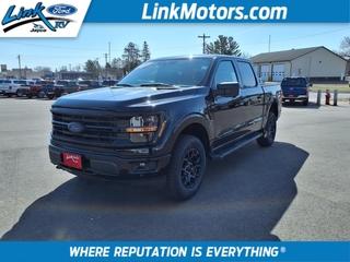 2025 Ford F-150 for sale in Minong WI
