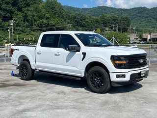 2025 Ford F-150 for sale in Waynesville NC