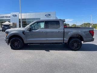 2024 Ford F-150 for sale in Dandridge TN