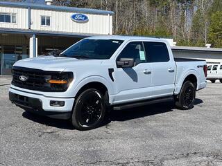 2025 Ford F-150 for sale in Brevard NC