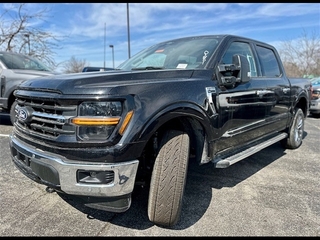 2025 Ford F-150 for sale in Louisville KY