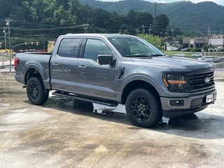 2025 Ford F-150 for sale in Waynesville NC