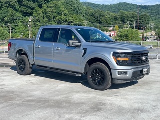 2025 Ford F-150 for sale in Waynesville NC