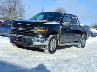 2024 Ford F-150 for sale in Farmington Hills MI