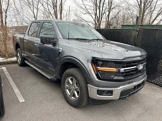 2024 Ford F-150 for sale in Greeneville TN