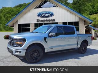 2024 Ford F-150 for sale in Danville WV