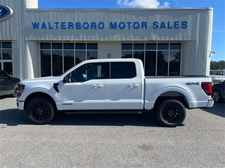 2024 Ford F-150 for sale in Walterboro SC