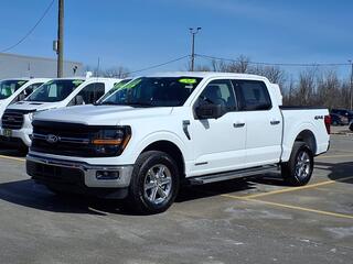 2024 Ford F-150 for sale in Woodhaven MI
