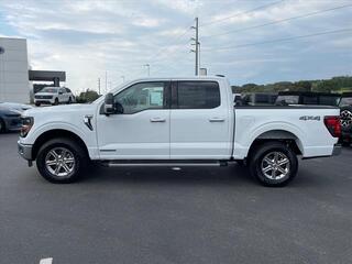 2024 Ford F-150 for sale in Dandridge TN