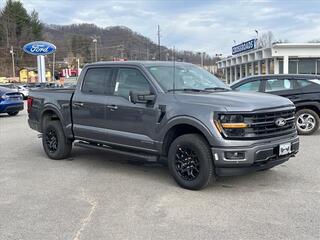 2025 Ford F-150 for sale in Waynesville NC