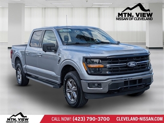 2024 Ford F-150 for sale in Mcdonald TN