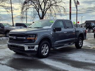 2024 Ford F-150 for sale in Woodhaven MI