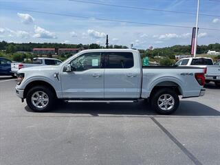 2024 Ford F-150 for sale in Dandridge TN