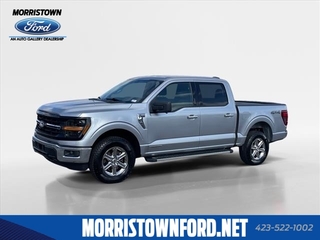 2024 Ford F-150 for sale in Morristown TN