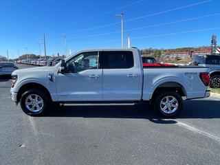 2024 Ford F-150 for sale in Dandridge TN